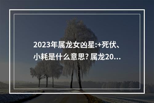 2023年属龙女凶星:+死伏、小耗是什么意思? 属龙2023年的命运