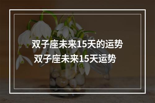 双子座未来15天的运势 双子座未来15天运势