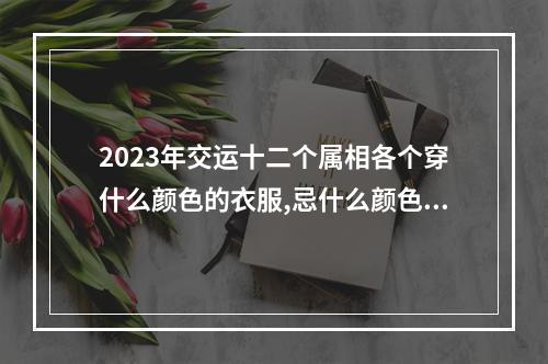 2023年交运十二个属相各个穿什么颜色的衣服,忌什么颜色的衣服_百度知 ... 2023属猪的幸运颜色是啥