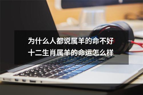 为什么人都说属羊的命不好 十二生肖属羊的命运怎么样