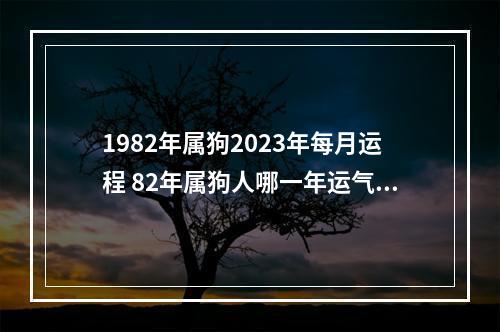 1982年属狗2023年每月运程 82年属狗人哪一年运气好点
