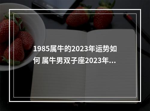 1985属牛的2023年运势如何 属牛男双子座2023年运势