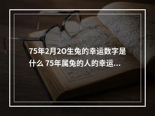 75年2月2O生兔的幸运数字是什么 75年属兔的人的幸运数字是什么