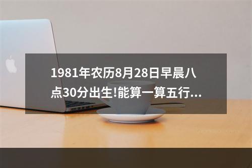 1981年农历8月28日早晨八点30分出生!能算一算五行缺什... 1981属鸡几月出生好8月28日