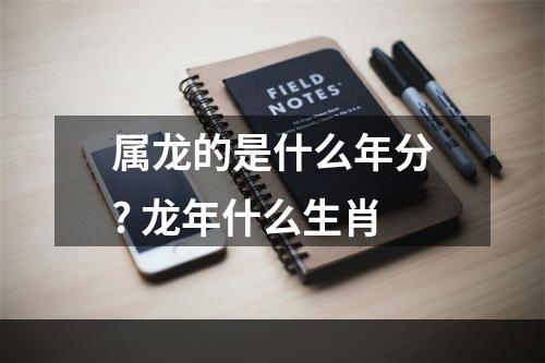 属龙的是什么年分? 龙年什么生肖