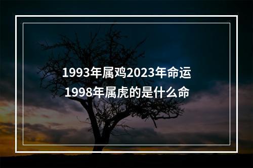 1993年属鸡2023年命运 1998年属虎的是什么命
