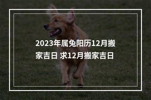 2023年属兔阳历12月搬家吉日 求12月搬家吉日