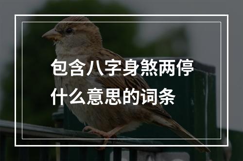 包含八字身煞两停什么意思的词条