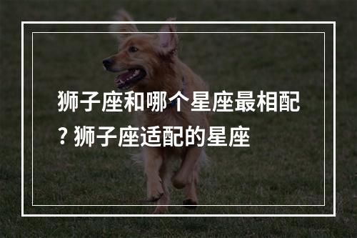 狮子座和哪个星座最相配? 狮子座适配的星座