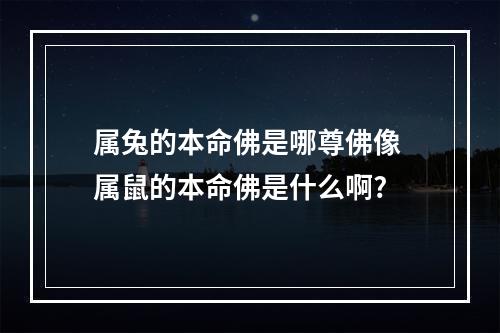 属兔的本命佛是哪尊佛像 属鼠的本命佛是什么啊?