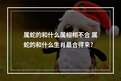 属蛇的和什么属相相不合 属蛇的和什么生肖最合得来?