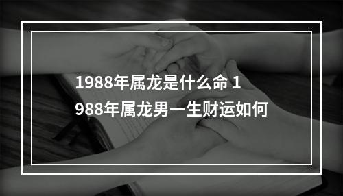 1988年属龙是什么命 1988年属龙男一生财运如何