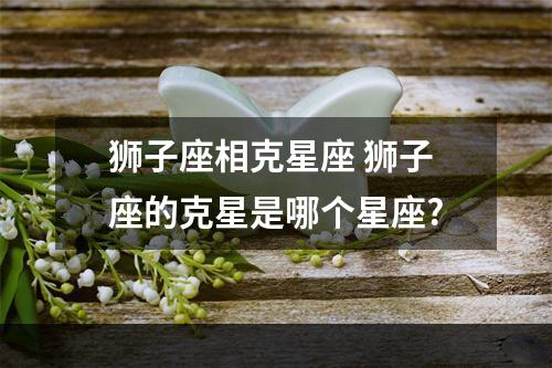 狮子座相克星座 狮子座的克星是哪个星座?