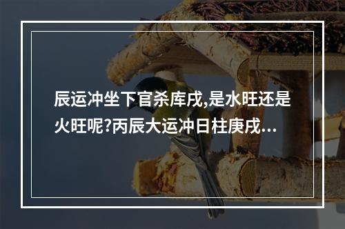 辰运冲坐下官杀库戌,是水旺还是火旺呢?丙辰大运冲日柱庚戌?谢谢_百度... 比劫旺行财运会怎样