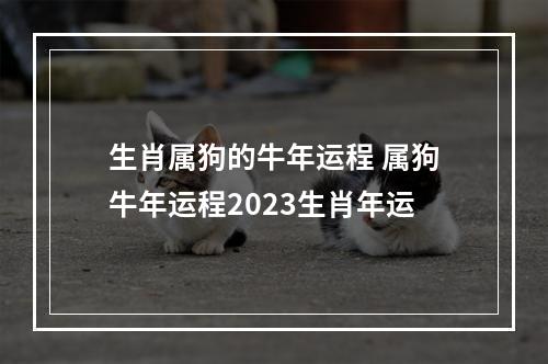 生肖属狗的牛年运程 属狗牛年运程2023生肖年运