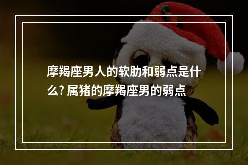 摩羯座男人的软肋和弱点是什么? 属猪的摩羯座男的弱点
