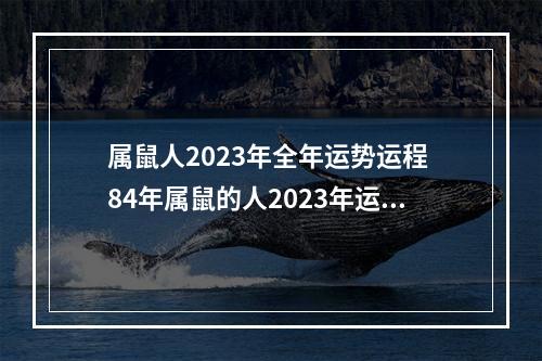属鼠人2023年全年运势运程 84年属鼠的人2023年运程每月运程男