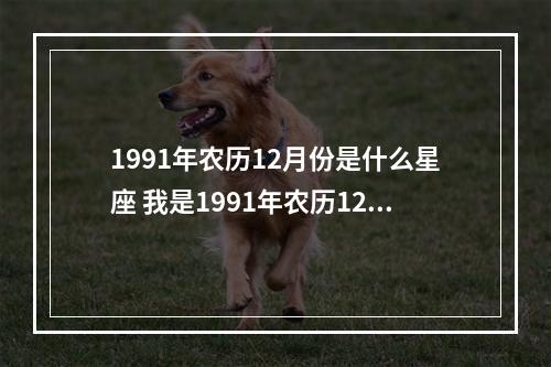 1991年农历12月份是什么星座 我是1991年农历12月19日的生日,那我是什么星座呢?