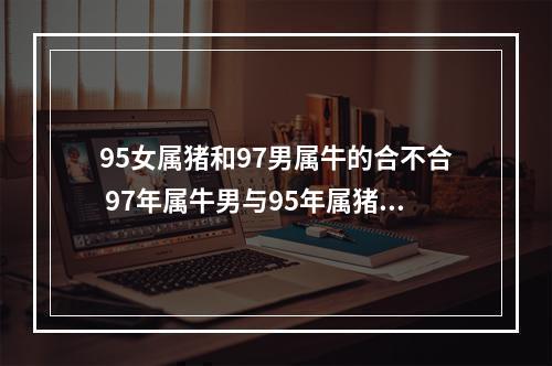 95女属猪和97男属牛的合不合 97年属牛男与95年属猪女合适吗?
