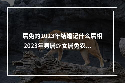 属兔的2023年结婚记什么属相 2023年男属蛇女属兔农历几月结婚好