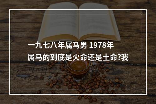 一九七八年属马男 1978年属马的到底是火命还是土命?我