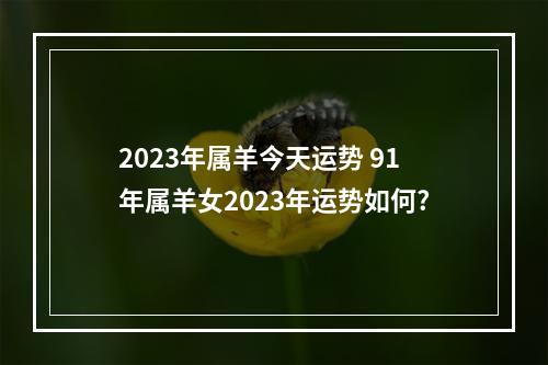 2023年属羊今天运势 91年属羊女2023年运势如何?