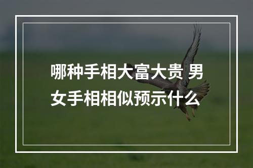 哪种手相大富大贵 男女手相相似预示什么