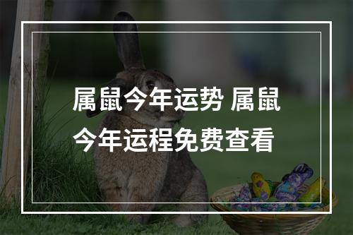 属鼠今年运势 属鼠今年运程免费查看