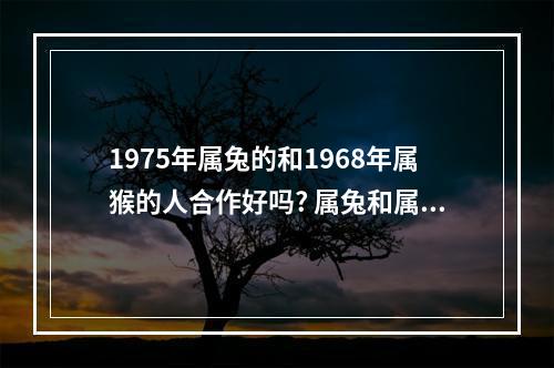 1975年属兔的和1968年属猴的人合作好吗? 属兔和属猴的合不合财
