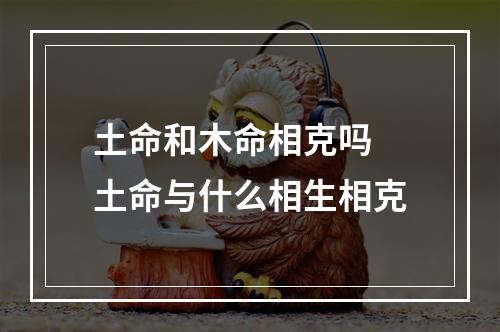 土命和木命相克吗 土命与什么相生相克