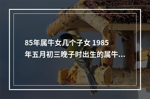 85年属牛女几个子女 1985年五月初三晚子时出生的属牛女葛二粉的婚姻命运如何儿女几个