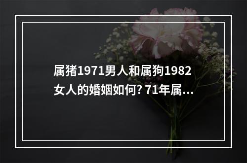 属猪1971男人和属狗1982女人的婚姻如何? 71年属猪和82年属狗能成夫妻吗