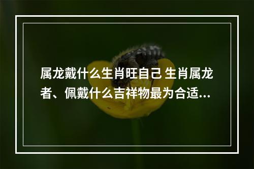 属龙戴什么生肖旺自己 生肖属龙者、佩戴什么吉祥物最为合适?