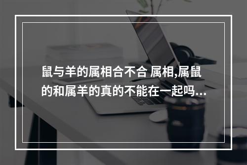 鼠与羊的属相合不合 属相,属鼠的和属羊的真的不能在一起吗?
