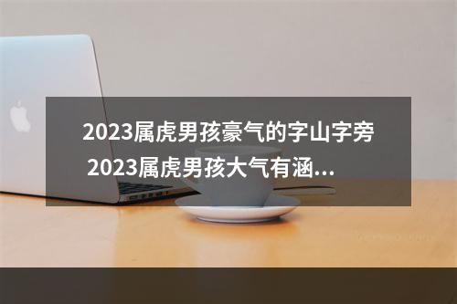 2023属虎男孩豪气的字山字旁 2023属虎男孩大气有涵养的名字