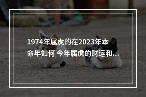 1974年属虎的在2023年本命年如何 今年属虎的财运和运气如何2023
