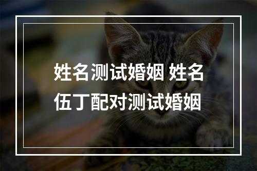 姓名测试婚姻 姓名伍丁配对测试婚姻