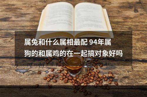 属兔和什么属相最配 94年属狗的和属鸡的在一起搞对象好吗