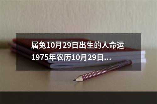 属兔10月29日出生的人命运 1975年农历10月29日年属兔人的五行缺什么