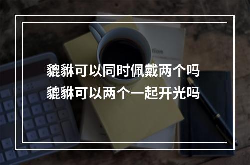 貔貅可以同时佩戴两个吗 貔貅可以两个一起开光吗