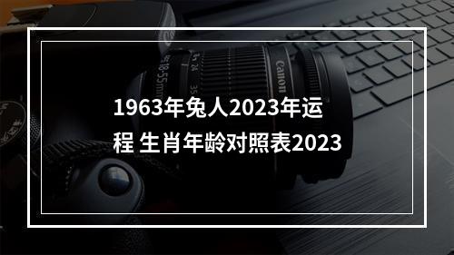 1963年兔人2023年运程 生肖年龄对照表2023