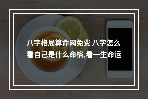 八字格局算命网免费 八字怎么看自己是什么命格,看一生命运