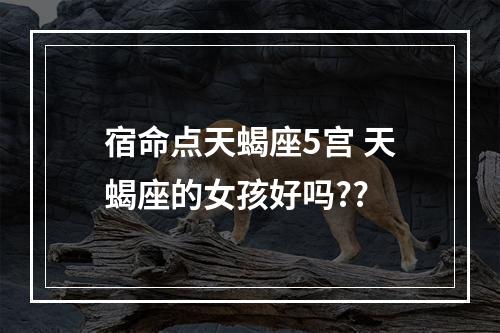 宿命点天蝎座5宫 天蝎座的女孩好吗??