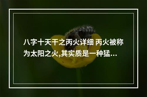 八字十天干之丙火详细 丙火被称为太阳之火,其实质是一种猛 烈地向外释放的能量。丙火有以下特...