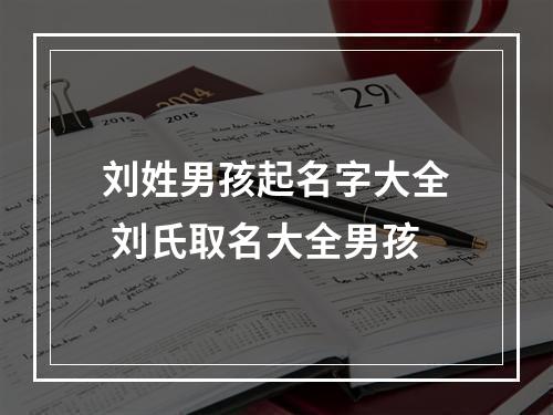刘姓男孩起名字大全 刘氏取名大全男孩
