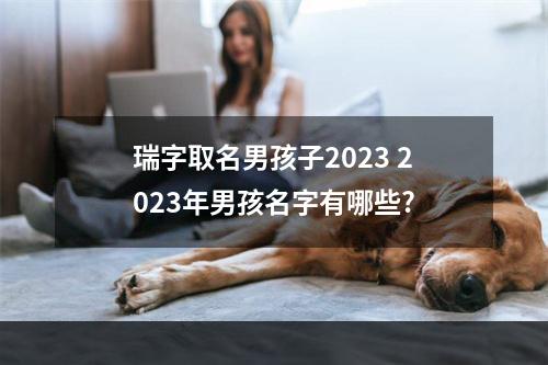 瑞字取名男孩子2023 2023年男孩名字有哪些?