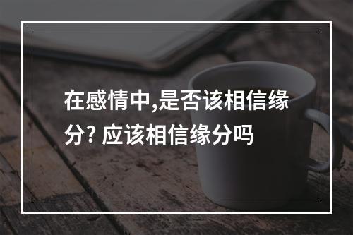 在感情中,是否该相信缘分? 应该相信缘分吗