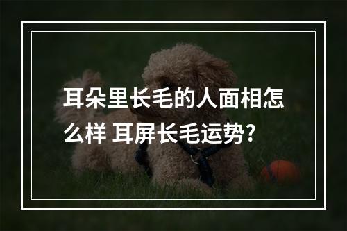 耳朵里长毛的人面相怎么样 耳屏长毛运势?