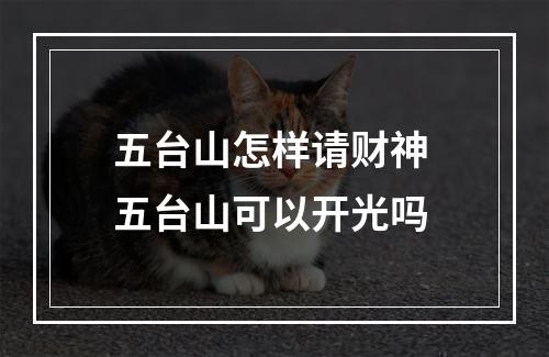 五台山怎样请财神 五台山可以开光吗