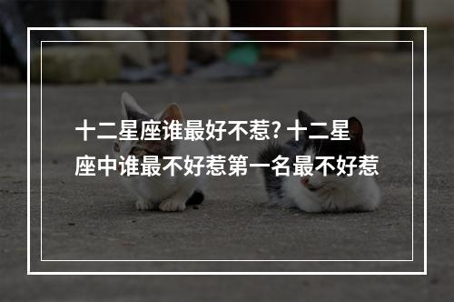 十二星座谁最好不惹? 十二星座中谁最不好惹第一名最不好惹
